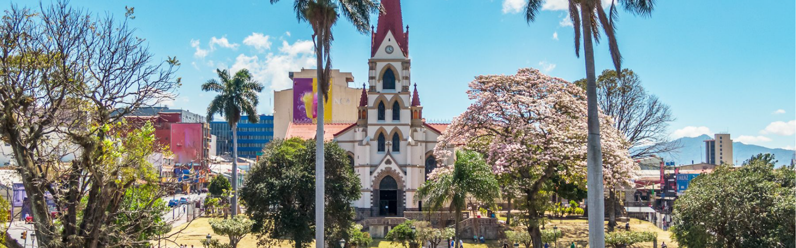 A historic church with a red spire stands amidst pink blooming trees and tall palms under a bright blue sky.